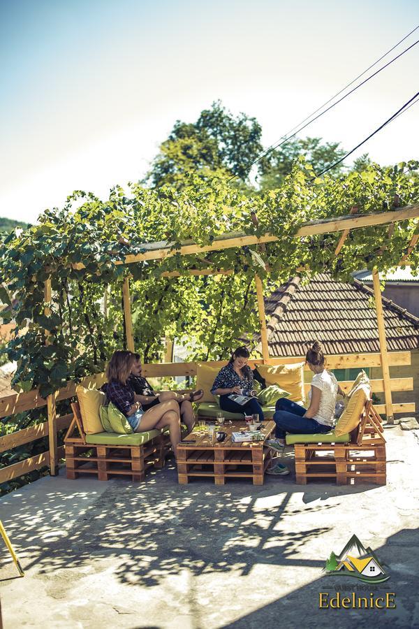 Guesthouse Edelnice Gornja Trepča Kültér fotó