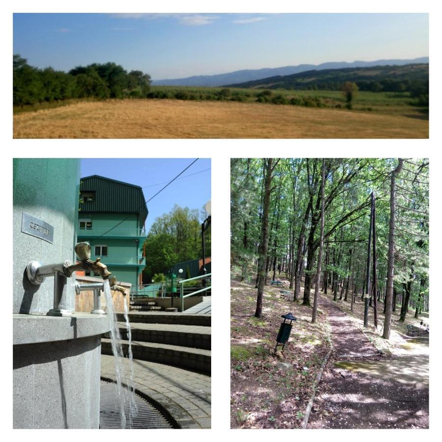 Guesthouse Edelnice Gornja Trepča Szoba fotó